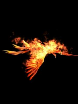 Animated Phoenix.jpg Mixed